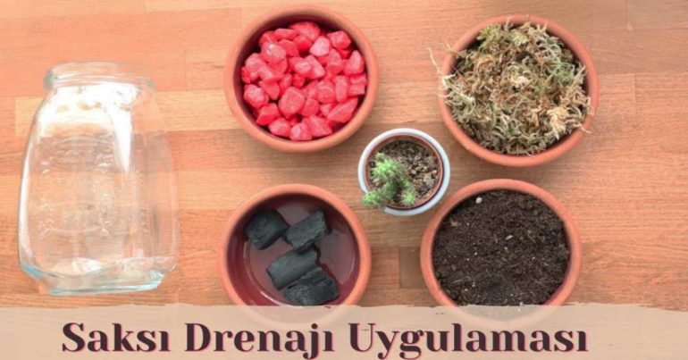 SAKSIDA DRENAJ NASIL YAPILIR? DRENAJ NEDİR? (VİDEOLU TARİF)