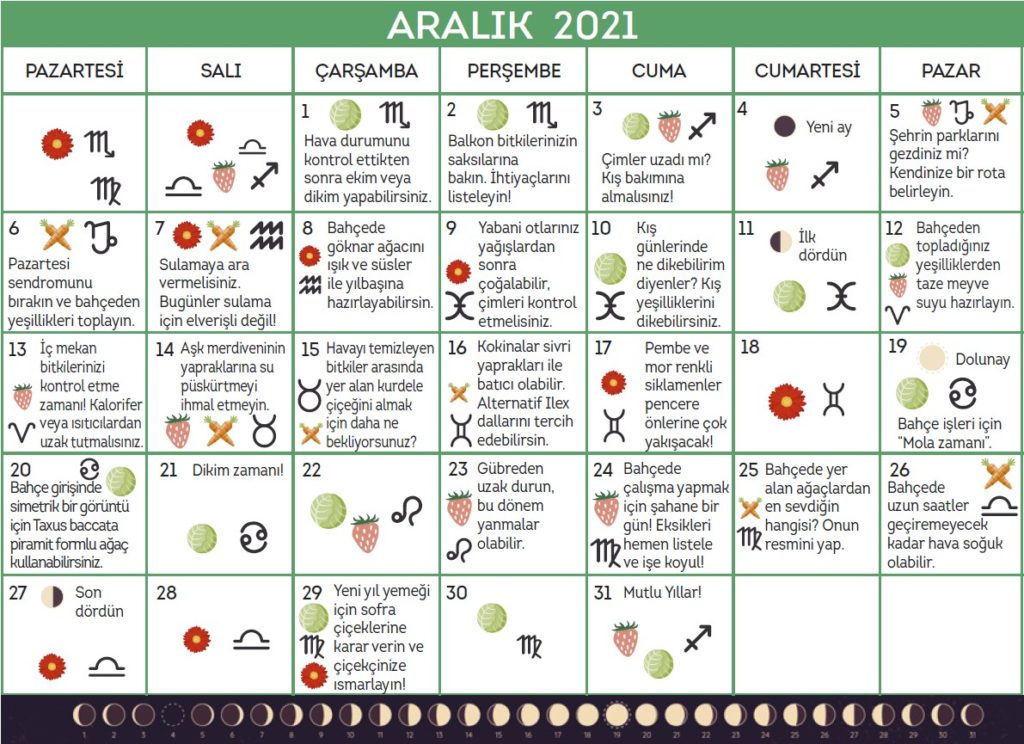 Aralık ayında ne ekilir