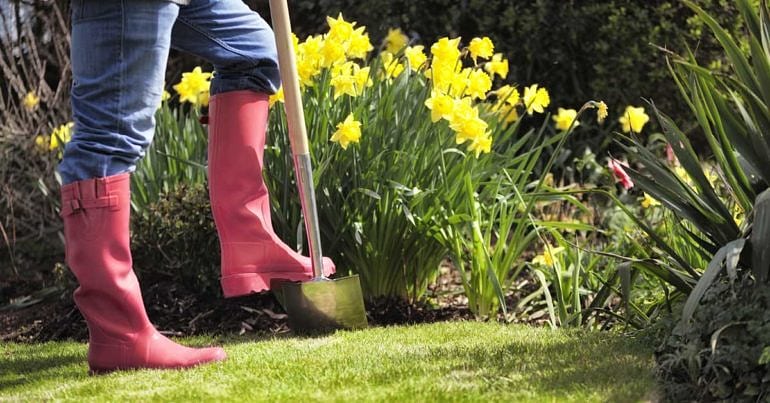 MART AYINDA NE EKİLİR? SEBZE, MEYVE VE ÇİÇEKLER