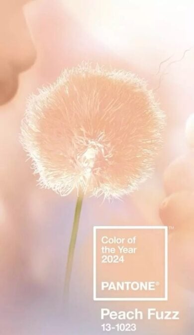 2024 y\u0131l\u0131n\u0131n \u00f6ne \u00e7\u0131kan dekorasyon, mobilya ve stil trendleri | Evim Dergisi