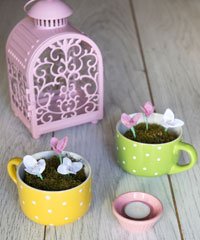 Çay fincanı saksı olursa