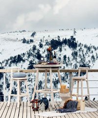 Masalsı kış beyazı