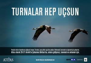 Turnalar hep uçsun!