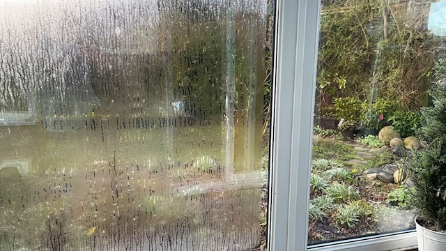 EVİNİZDEKİ YÜKSEK NEM: 5 BELİRTİ VE ÇÖZÜM YOLLARI